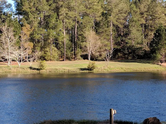 Jellystone Park™ Alabama Gulf Coast 9