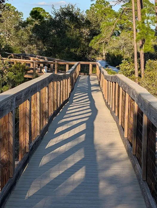 Big Lagoon State Park Campground 3