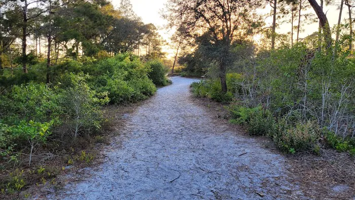 Big Lagoon State Park Campground 5