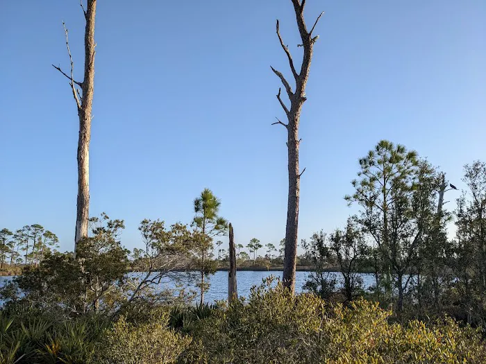 Big Lagoon State Park Campground 8