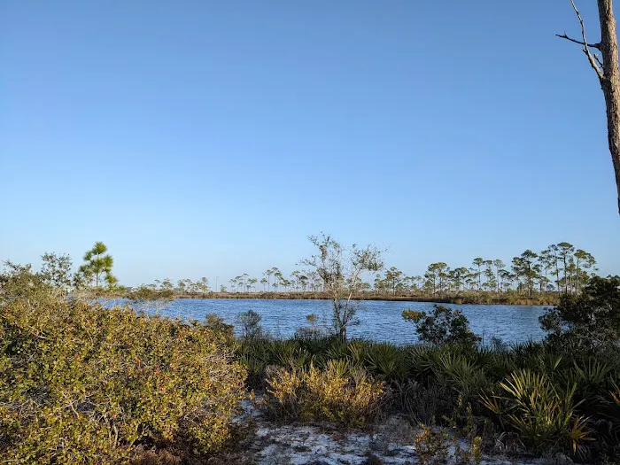 Big Lagoon State Park Campground 7