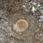 Southern Comfort RV Park