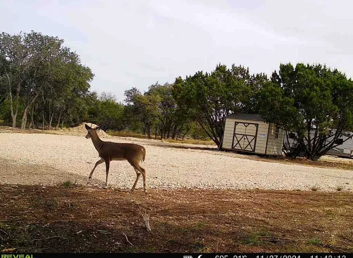 Cedar Creek RV Park 1