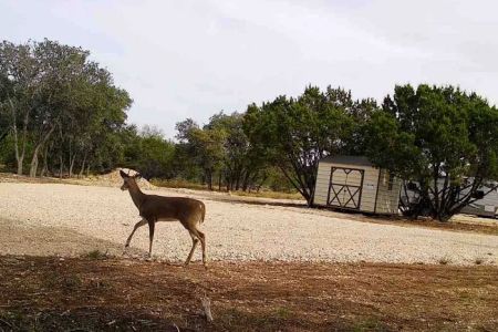 Cedar Creek RV Park