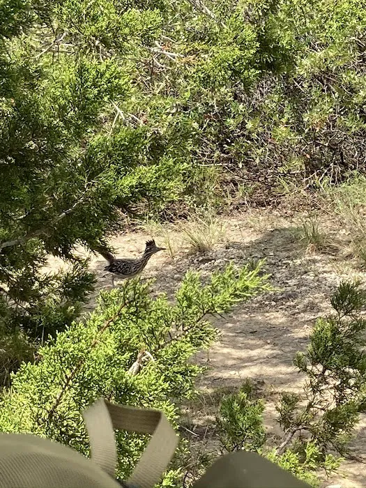 Hill Country Wilderness Camp Area 4