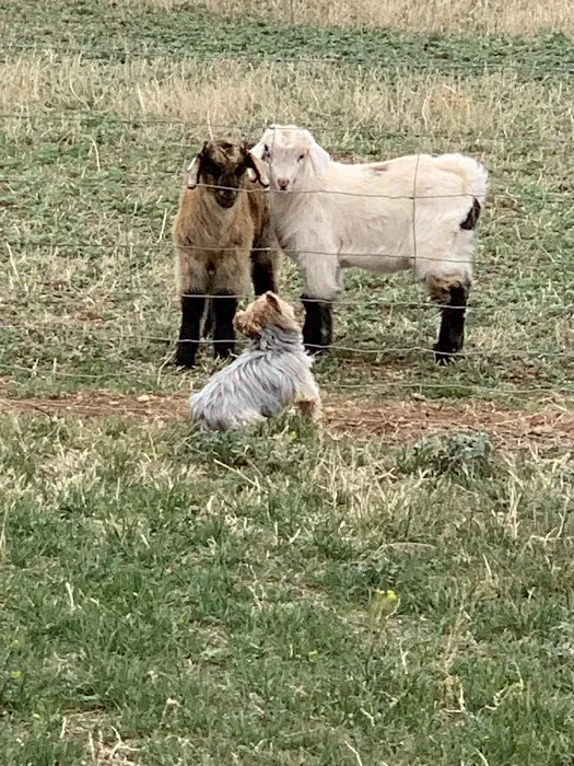 Ignorant Hill RV Ranch 6