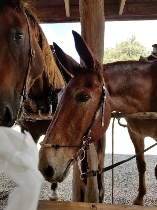 DD Texass Ranch & RV 5