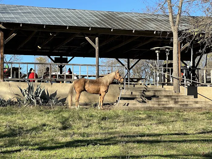 Bandera RV Park 4