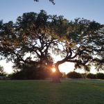 Skyline Ranch RV Park