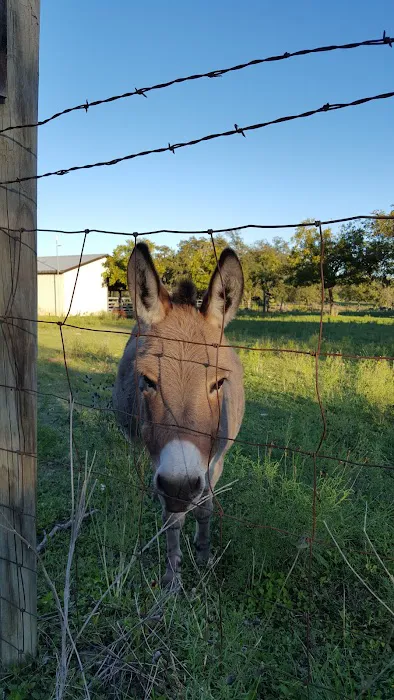 Skyline Ranch RV Park 10