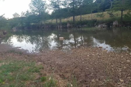 Hill Country Rentals