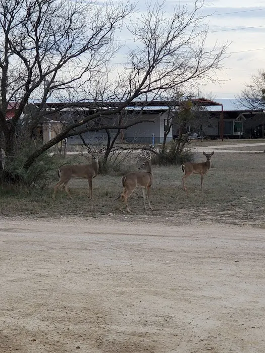 Elm Creek Marina and R.V. Campgrounds 6