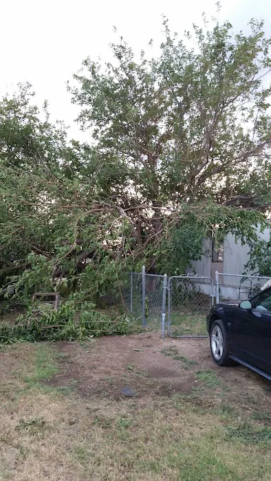 Cactus Lane RV & Mobile Home Park 6