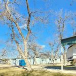 San Angelo's Orchard