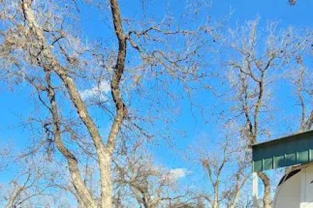 San Angelo's Orchard