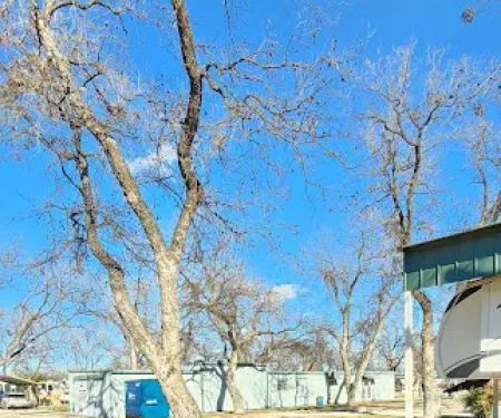 San Angelo's Orchard