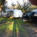 Brown's Trailer Park