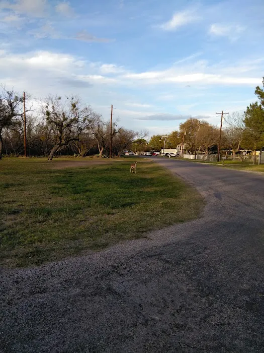 Brown's Trailer Park 4
