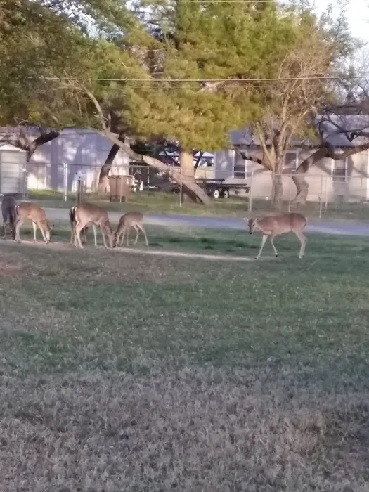 Brown's Trailer Park 3