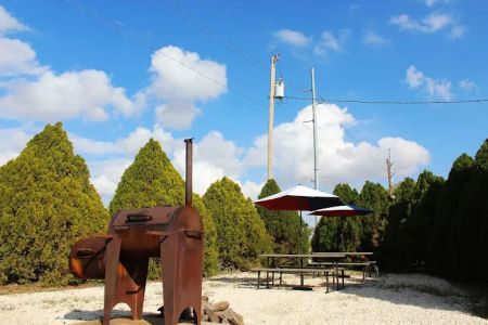 Weeping Willow RV Park