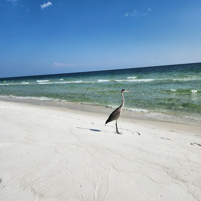 Fort Pickens Campground Loop A 2