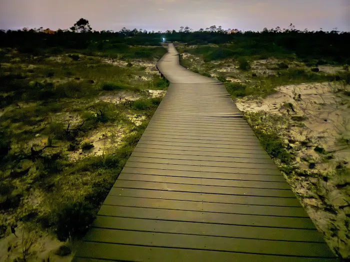 Fort Pickens Campground Loop A 8
