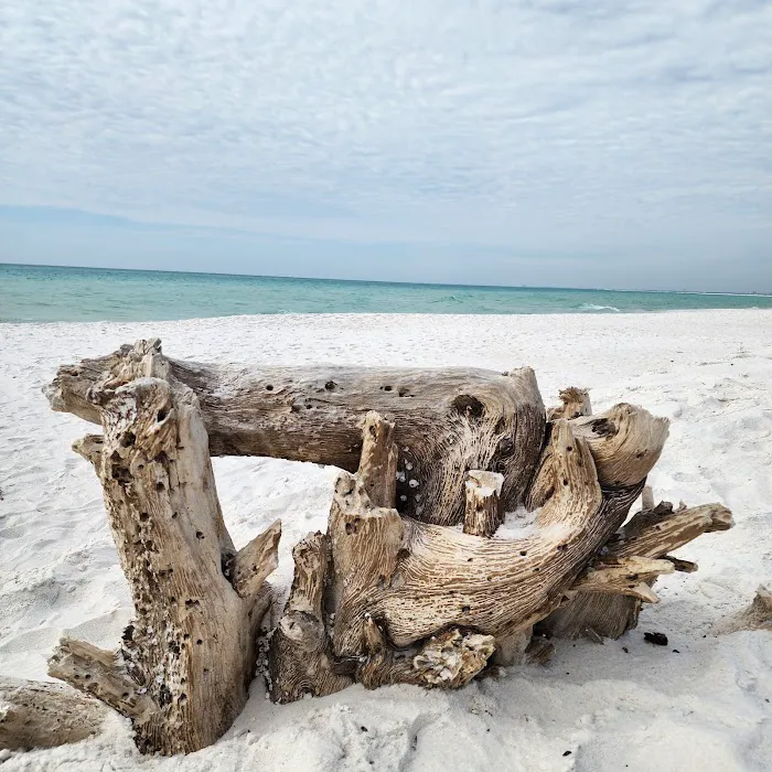 Fort Pickens Campground Loop A 6