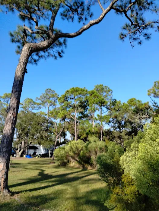 Fort Pickens Campground Loop A 9