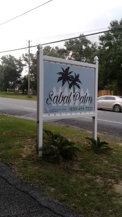 Sabal Palm 3