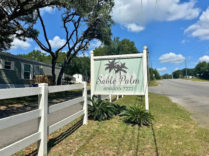 Sabal Palm 4