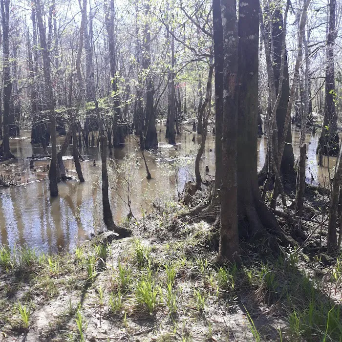 Webb Landing 5