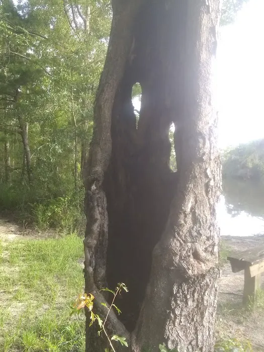 Cotton Lake Ramp 9