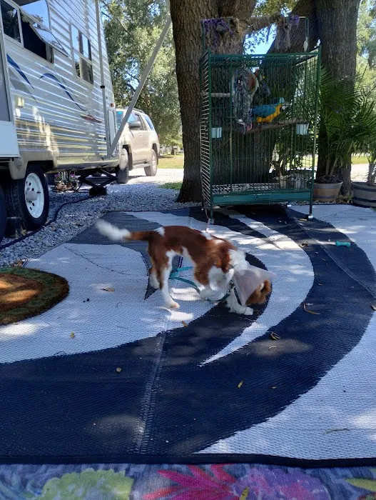 Pensacola RV Park 4
