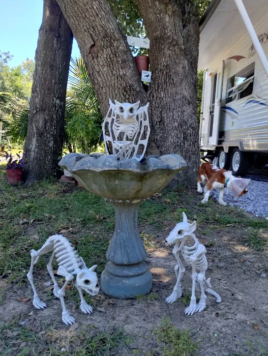Pensacola RV Park 6