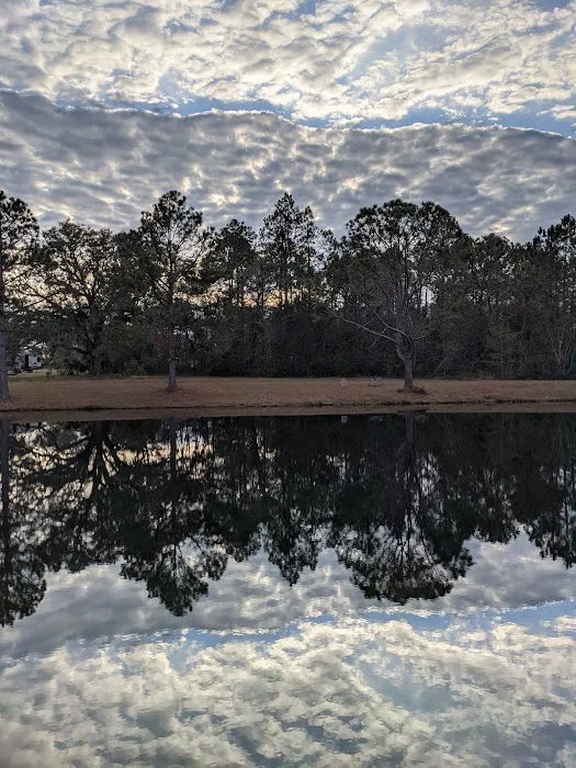 Pensacola RV Park 10