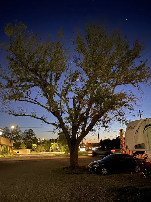 Palm Cove RV Village 6