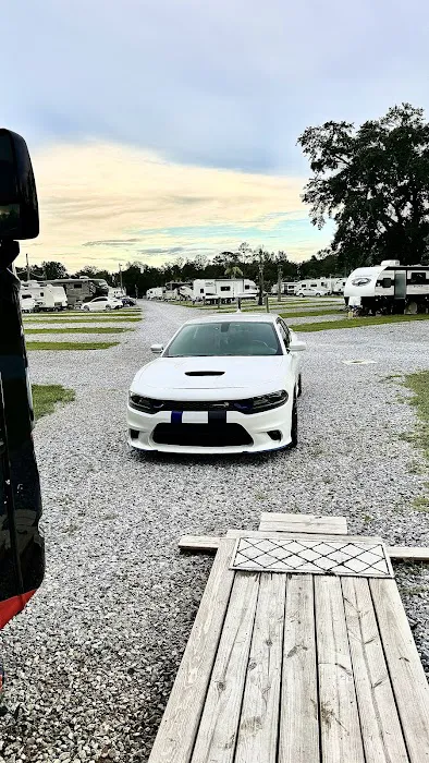 Palm Cove RV Village 9