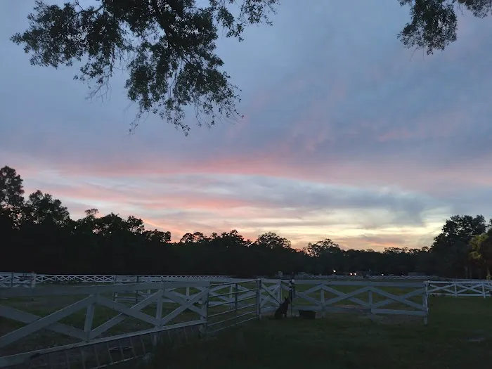 Five Flags Ranch at Pony Land and RV Motorhome Parking Spaces 1