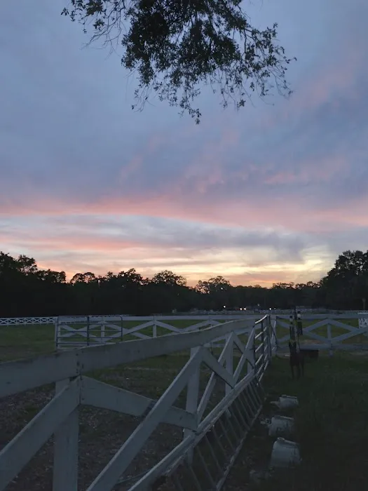 Five Flags Ranch at Pony Land and RV Motorhome Parking Spaces 2
