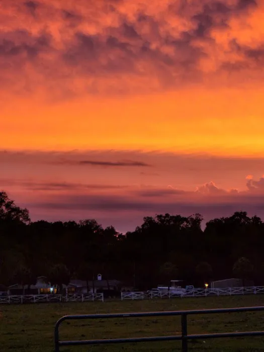 Five Flags Ranch at Pony Land and RV Motorhome Parking Spaces 8