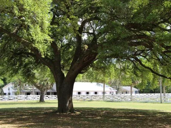 Five Flags Ranch at Pony Land and Motorhome RV Spaces 2