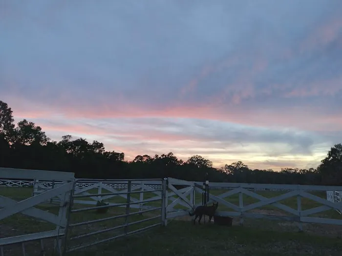 Five Flags Ranch at Pony Land and Motorhome RV Spaces 6