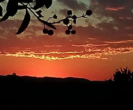 Sunset RV Park