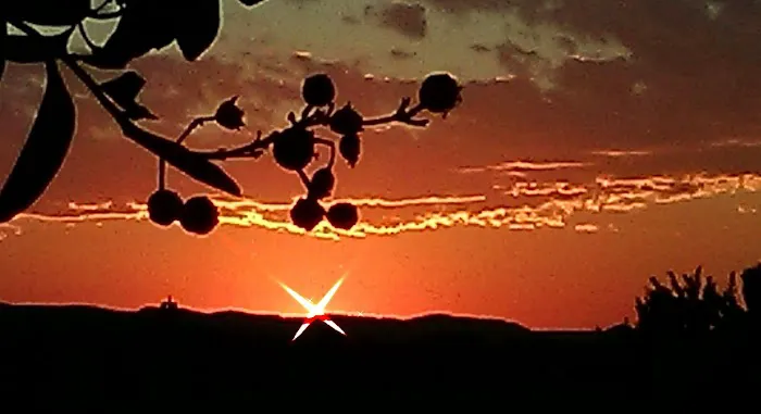 Sunset RV Park 6