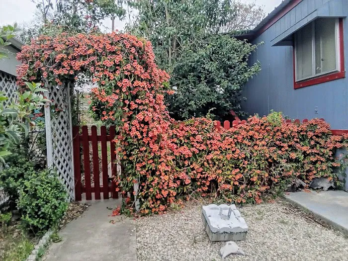 Three Hills Mobile Home Park 3
