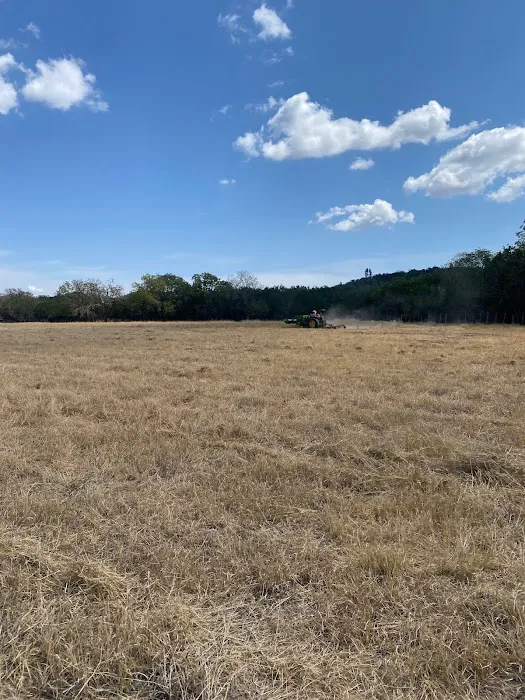 Grandma's RV Pasture 1