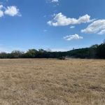 Grandma's RV Pasture