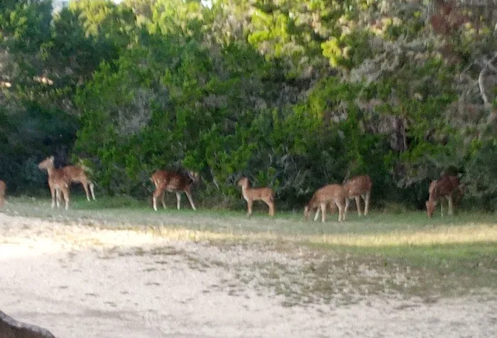 Farm Country Club 7