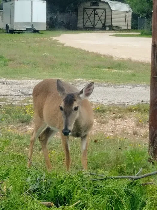 Huling RV Park 3