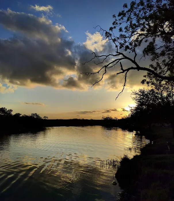 Spring Creek Marina & RV Park 6